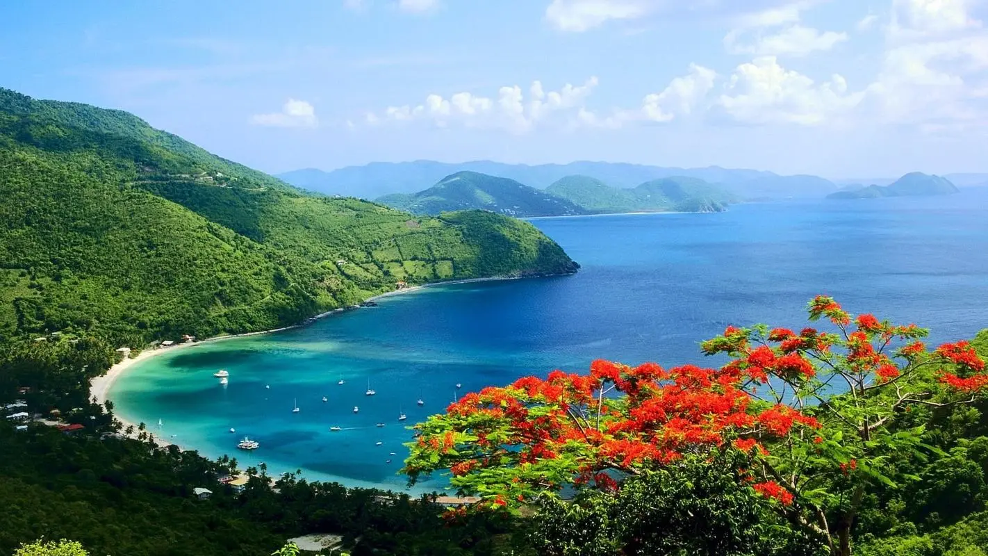 节能高端